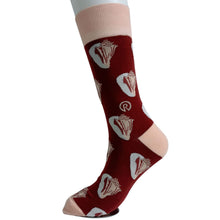 Load image into Gallery viewer, New Queen Conch